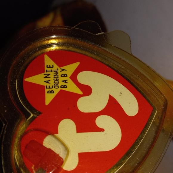 Ty Twigs - Picture 2 of 4